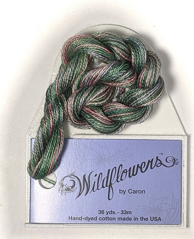 003 Meadow, Wildflowers