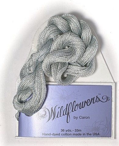 044 Ice, Wildflowers
