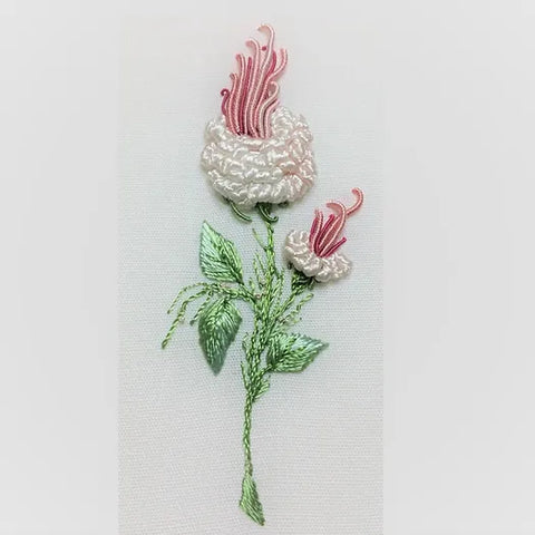 California Rosebud 1401, EdMar