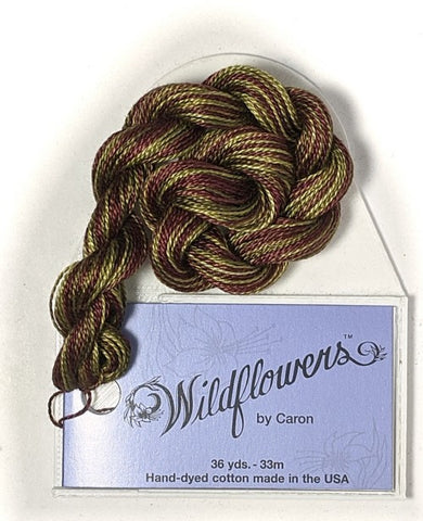 204 Umbria, Wildflowers
