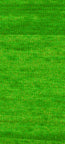 254 Classic Green, Overdyed 7mm, River Silks