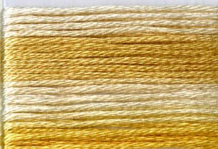 8031 Yellow, Seasons, Cosmo