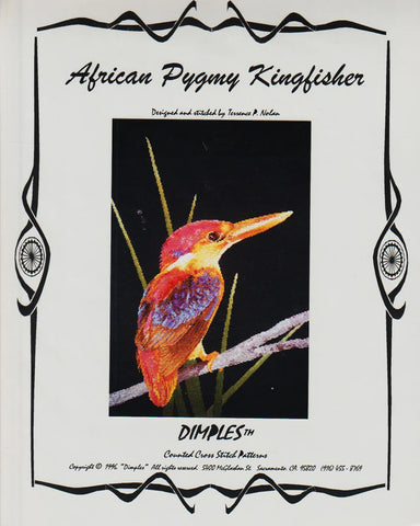 African Pygmy Kingfisher, Dimpler