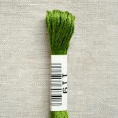 119 Green, Floss, Cosmo