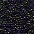 03004 Eggplant