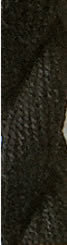 0020 Solid Black, Wildflowers