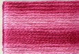 8008 Pinks, Seasons, Cosmo