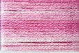 8009 Pink, Seasons, Cosmo