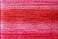 8010 Pinks, Seasons, Cosmo