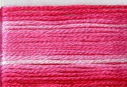 8011 Pink, Seasons, Cosmo