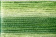 8012 Greens, Seasons, Cosmo