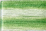 8013 Greens, Seasons, Cosmo