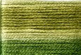 8016 Dark Greens, Seasons, Cosmo