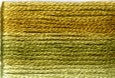 8018 Greens Golds, Seasons, Cosmo