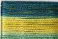 8020 Green Gold, Seasons, Cosmo
