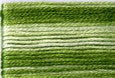 8021 Greens, Seasons, Cosmo