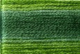 8024 Dark Green, Seasons, Cosmo
