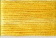8027 Yellows, Seasons, Cosmo