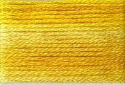 8028 Yellows, Seasons, Cosmo