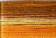 8029 Orange Yellow Brown, Seasons, Cosmo