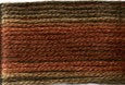 8041 Browns Rusts, Seasons, Cosmo
