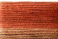 8043 Browns Rusts, Seasons, Cosmo