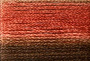 8044 Browns Rusts, Seasons, Cosmo