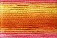 8046 Orange Yellow Pink, Seasons, Cosmo