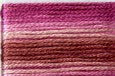8061 Roses, Seasons, Cosmo