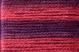 8062 Roses, Seasons, Cosmo