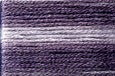 8064 Purples, Seasons, Cosmo