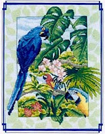 Macaws of the Amazon, Vickery Collection
