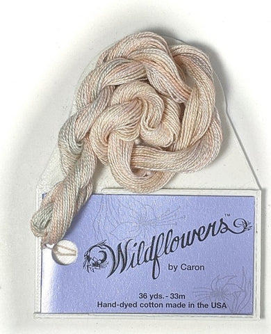 161 Seashell, Wildflowers