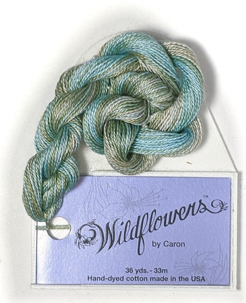 241 Shenandoah, Wildflowers