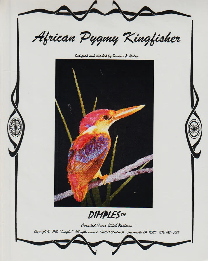 African Pygmy Kingfisher, Dimpler