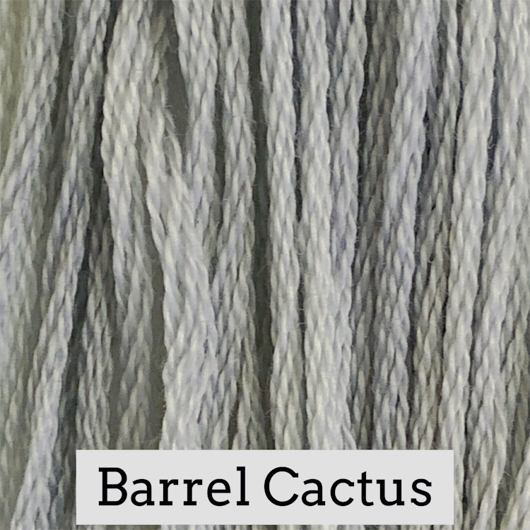 31 Barrel Cactus