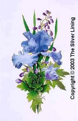 Genie's Blue Blast, The Silver Lining