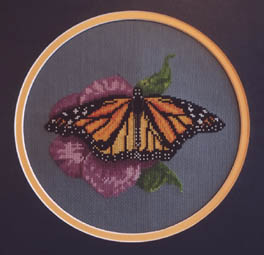 Monarch Butterfly, Lynne Nicoletti