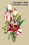 Parrot Tulips (Red & White Striped) #135, The Silver Lining