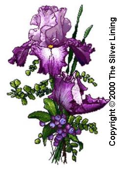 Purple Perfection, The Silver Lining