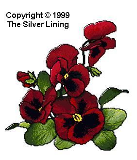 Red Pansies, The Silver Lining