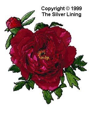 Ruby Red (Tree Peony), The Silver Lining