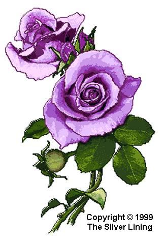 Sterling Silver, The Silver Lining