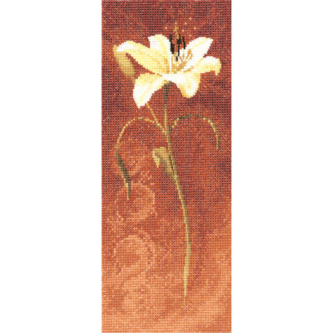 Day Lily by John Clayton