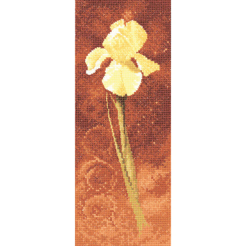 Iris by John Clayton