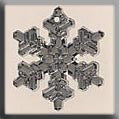 12039 Large Snowflake Crystal Bright