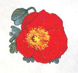 Poppy Love (Iceland Poppy) #160, The Silver Lining