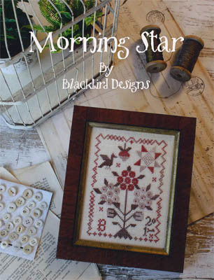 Morning Star, Blackbird Designs